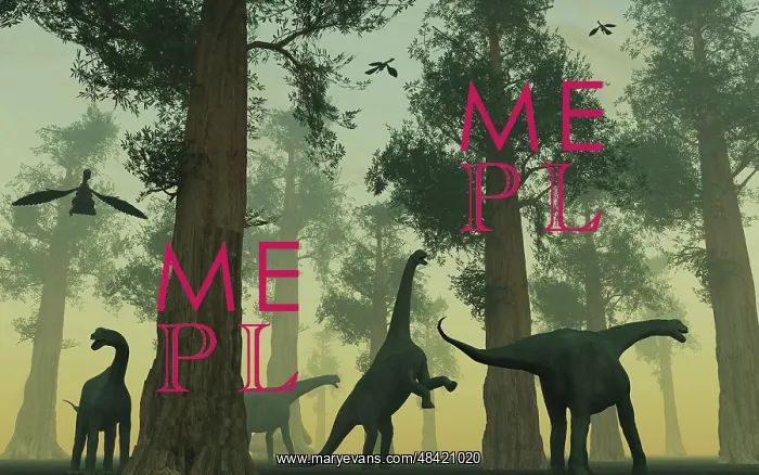 : A herd of Camarasaurus dinosaurs : A herd of Camarasaurus dinosaurs