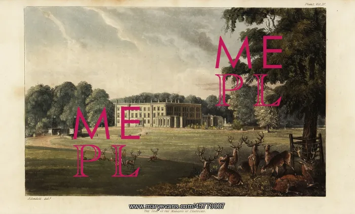 : Herd of deer in front of Trentham Hall : Herd of deer in front of Trentham Hall