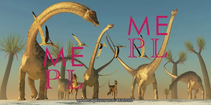 : Herd of Diplodocus dinosaurs : Herd of Diplodocus dinosaurs