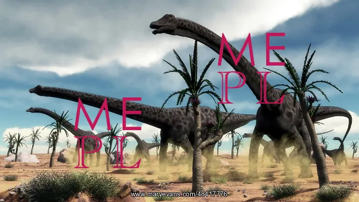 : A herd of Diplodocus dinosaurs walking in a desert landscape : A herd of Diplodocus dinosaurs walking in a desert landscape