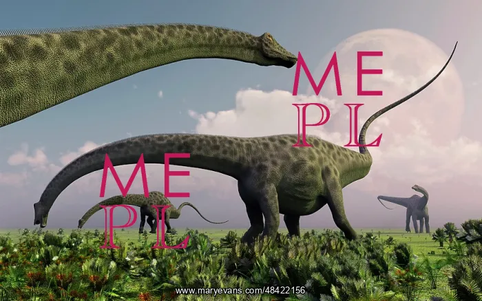 : A herd of Diplodocus sauropod dinosaurs grazing : A herd of Diplodocus sauropod dinosaurs grazing