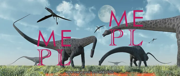 : A herd of giant Diplodocus dinosaurs grazing : A herd of giant Diplodocus dinosaurs grazing