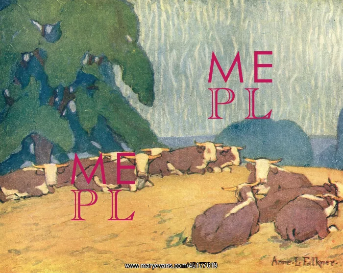 : A Herd Of Herefords : A Herd Of Herefords