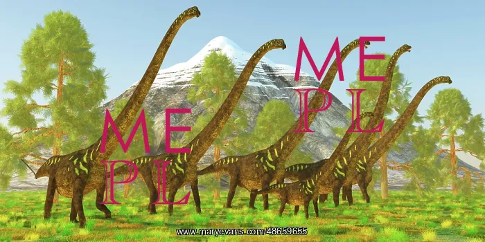: A herd of Mamenchisaurus dinosaurs from the late : A herd of Mamenchisaurus dinosaurs from the late