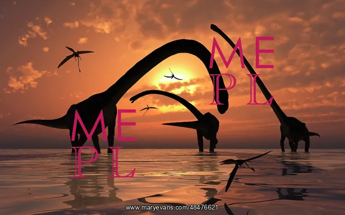 : A herd of Omeisaurus sauropod dinosaurs in shallow water : A herd of Omeisaurus sauropod dinosaurs in shallow water