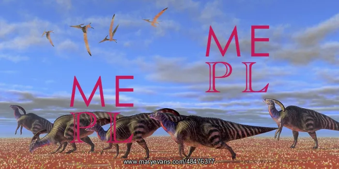 : A herd of Parasaurolophus dinosaurs : A herd of Parasaurolophus dinosaurs