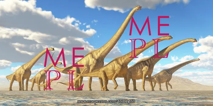 : A herd of Sauroposeidon dinosaurs : A herd of Sauroposeidon dinosaurs