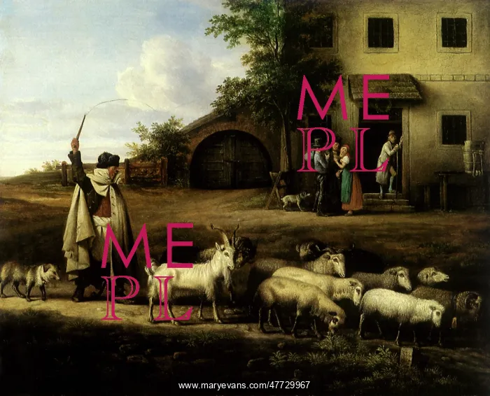  : Herd of Sheep