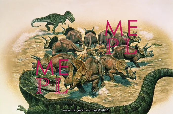 : A herd of Triceratops defend their territory against a pair : A herd of Triceratops defend their territory against a pair