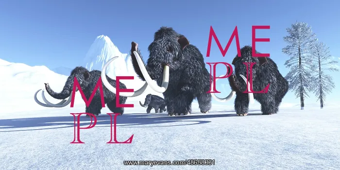 : A herd of woolly mammoths make their way across : A herd of woolly mammoths make their way across