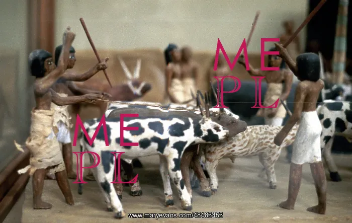 : Herding cattle. Ancient Egyptian tomb model. Cairo : Herding cattle. Ancient Egyptian tomb model. Cairo