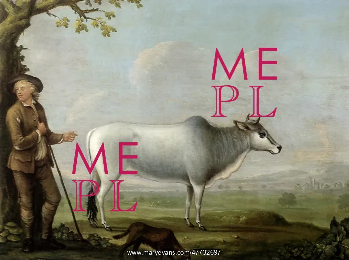  : Herdsman and Brahma Cow
