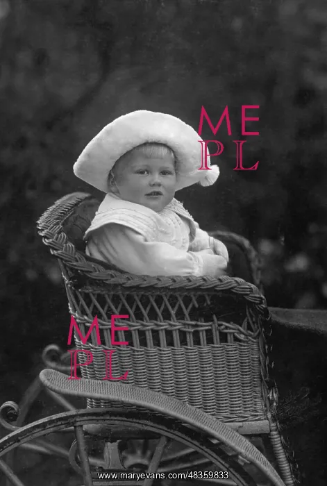 : The Hereditary Grand Duke as a toddler in a : The Hereditary Grand Duke as a toddler in a