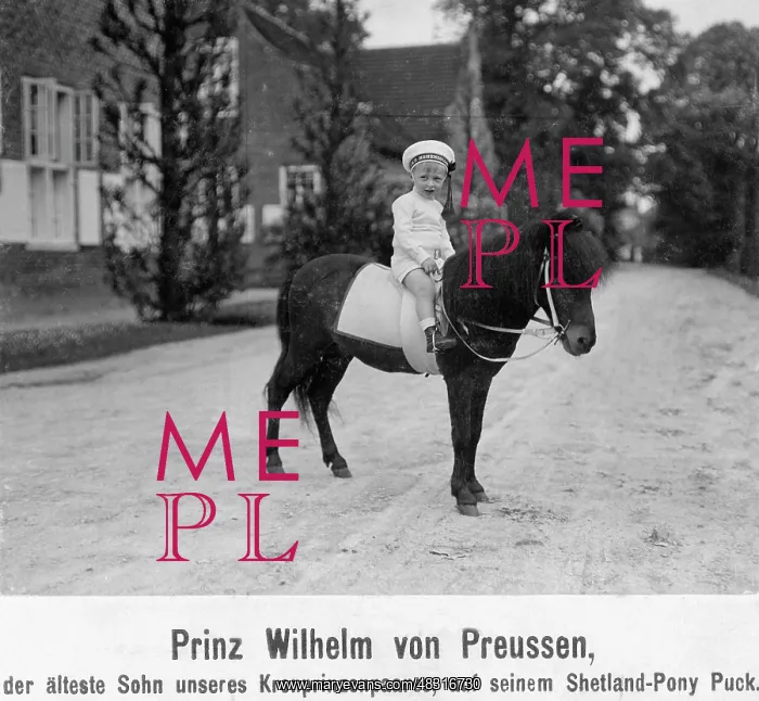 : Hereditary Prince Wilhelm of Prussia, 1908 : Hereditary Prince Wilhelm of Prussia, 1908