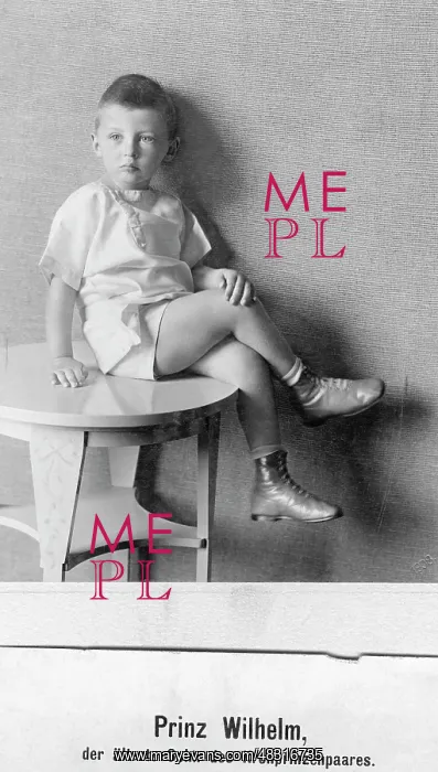 : Hereditary Prince Wilhelm of Prussia, 1908 : Hereditary Prince Wilhelm of Prussia, 1908