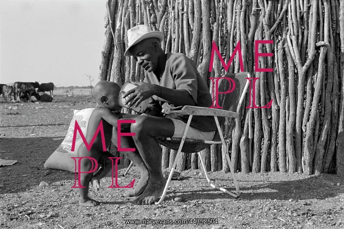 : Herero father giving milk to child : Herero father giving milk to child