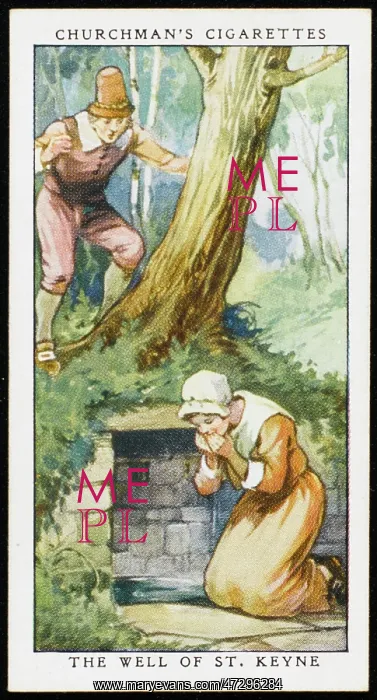 : Herholy Well of St Keyne : Herholy Well of St Keyne