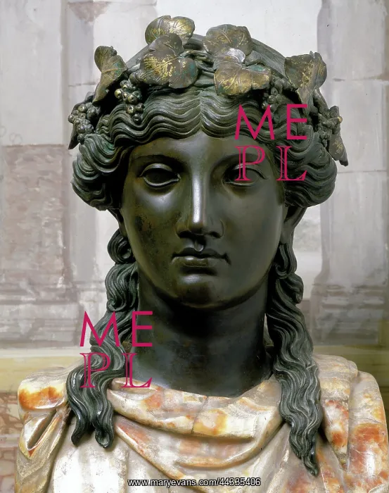 : The Herm of Bacchus, detail : The Herm of Bacchus, detail
