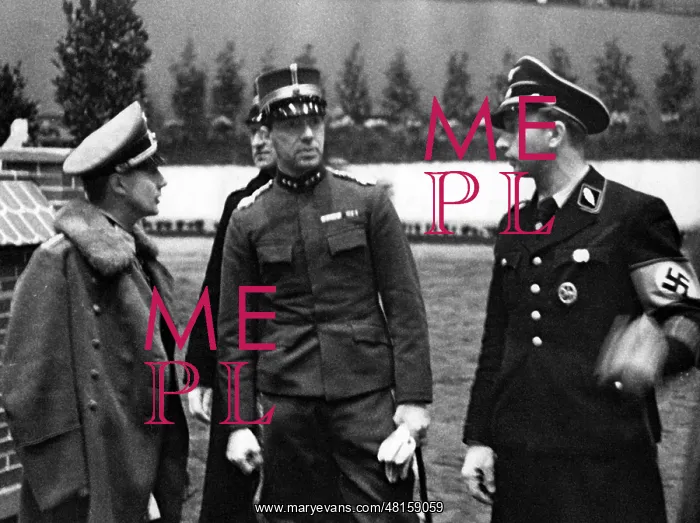 : Hermann Fegelein : Hermann Fegelein