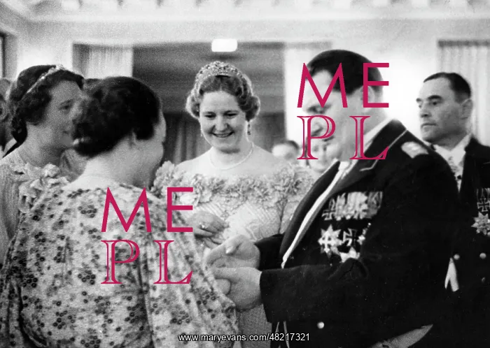 : Hermann Goering : Hermann Goering
