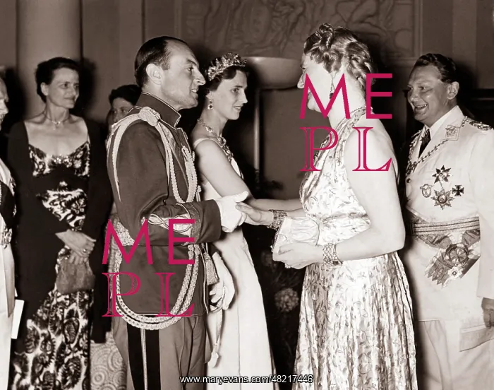 : Hermann Goering : Hermann Goering