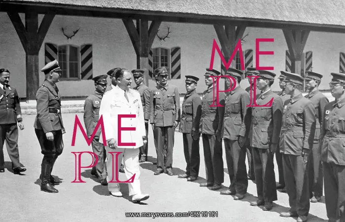 : Hermann Goering : Hermann Goering