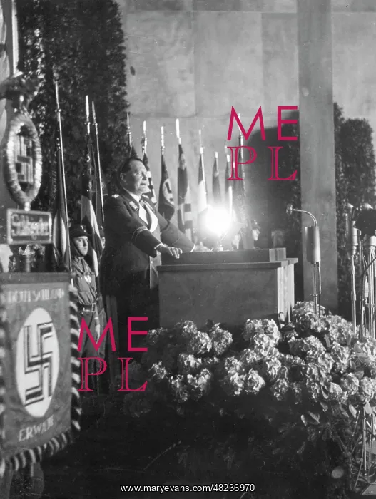 : Hermann Goering : Hermann Goering