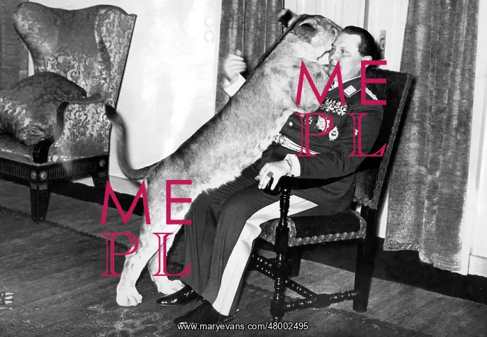 : Hermann Goering with lioness : Hermann Goering with lioness