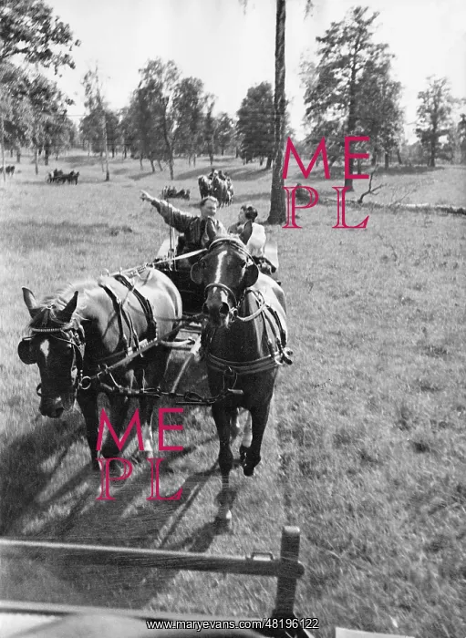 : Hermann Goring during a coach ride : Hermann Goring during a coach ride