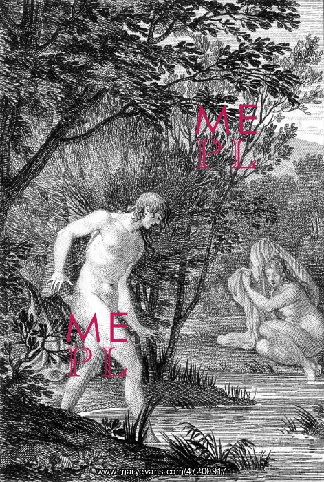 : Hermaphroditus : Hermaphroditus