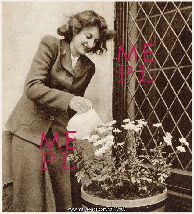 : Hermione Gingold at home : Hermione Gingold at home