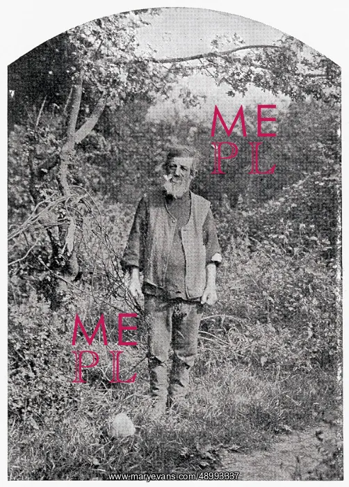 : Hermit of Hainault Forest : Hermit of Hainault Forest