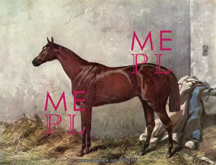  : Hermit (Racehorse) 1867