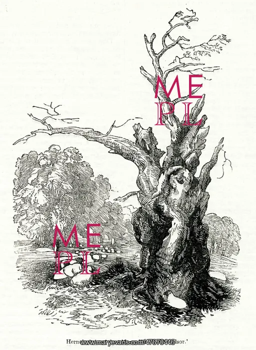 : Herne's Oak, Windsor Great Park, Berkshire : Herne's Oak, Windsor Great Park, Berkshire