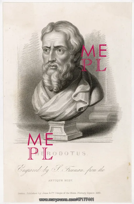 : HERODOTUS / FREEMAN / BUST : HERODOTUS / FREEMAN / BUST