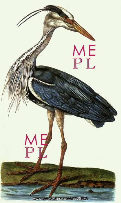  : Heron