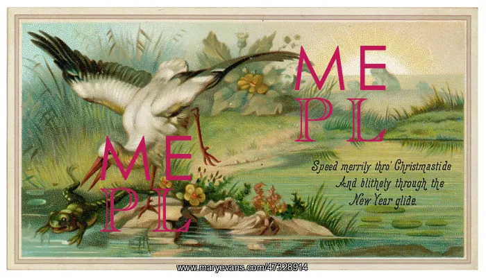 : HERON AND FROG : HERON AND FROG