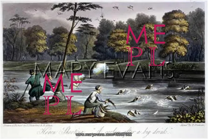 : HERON HUNT / MYTTON : HERON HUNT / MYTTON