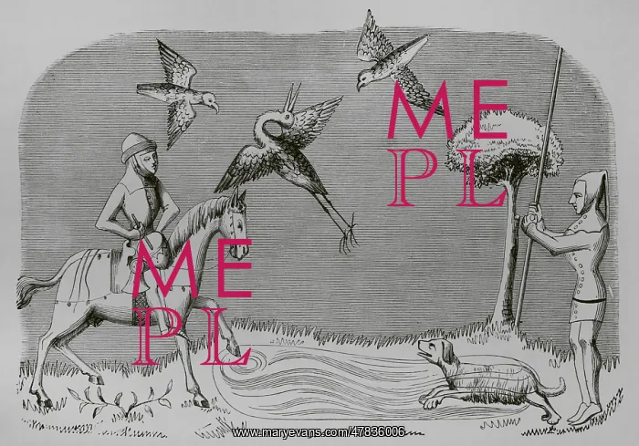 : Heron hunting. Engraving after a miniature from : Heron hunting. Engraving after a miniature from