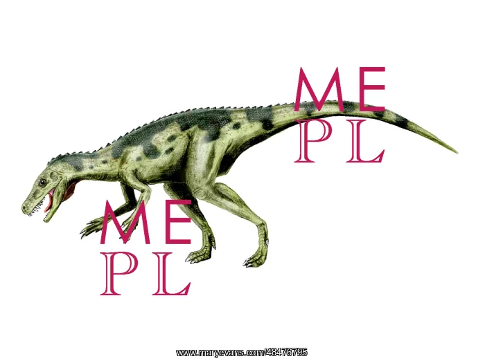 : Herrerasaurus dinosaur : Herrerasaurus dinosaur
