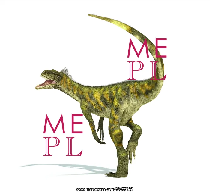 : Herrerasaurus dinosaur on white background : Herrerasaurus dinosaur on white background