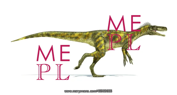 : Herrerasaurus dinosaur on white background : Herrerasaurus dinosaur on white background
