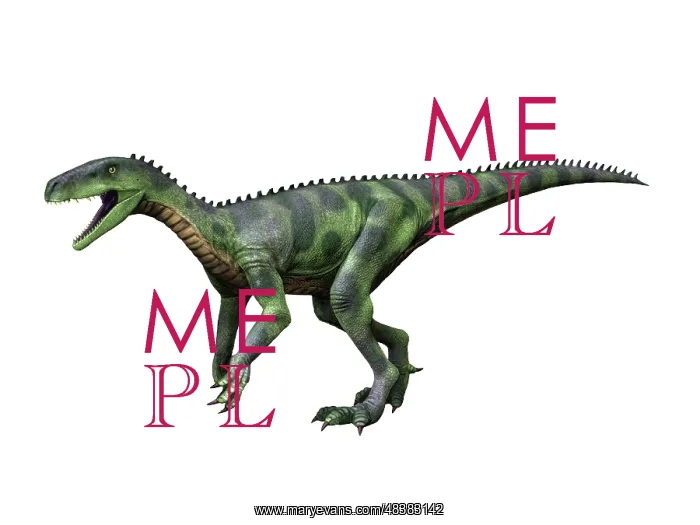 : Herrerasaurus is a theropod dinosaur from the Late Triassic : Herrerasaurus is a theropod dinosaur from the Late Triassic