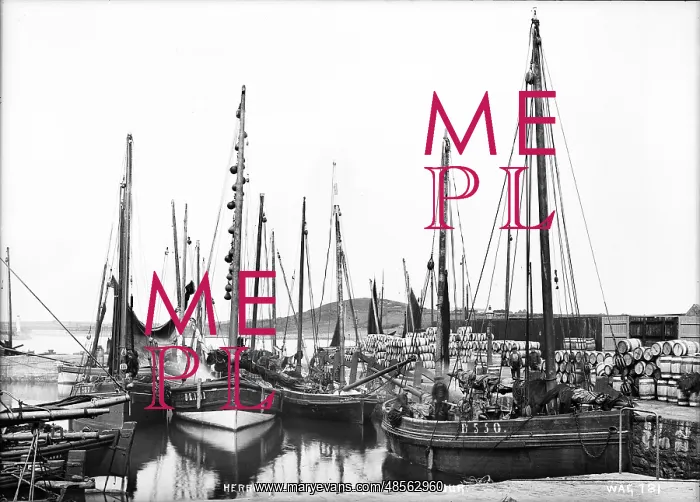 : Herring Boats in Ardglass Harbour : Herring Boats in Ardglass Harbour