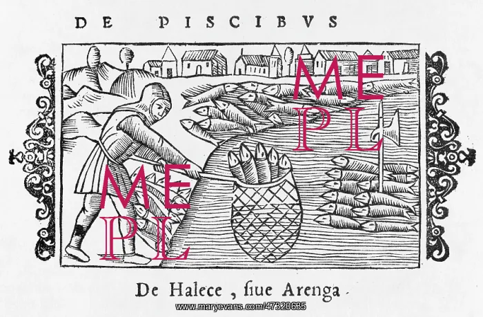  : HERRING FISHING 1555
