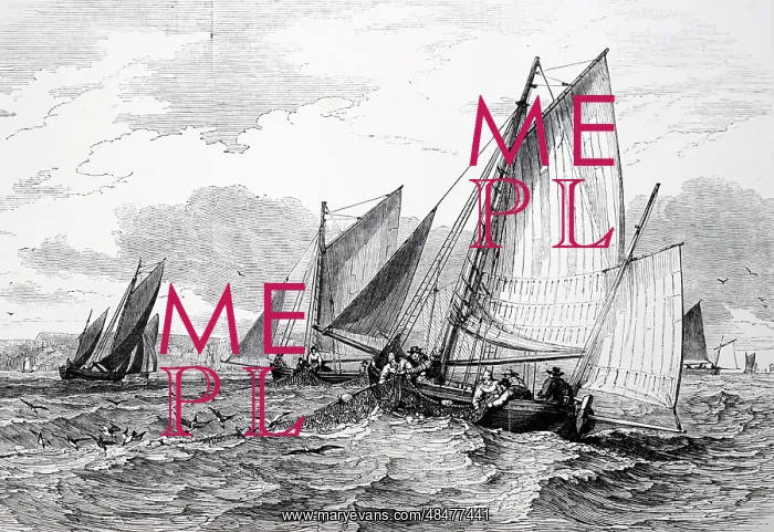  : Herring fishing: Isle of Man