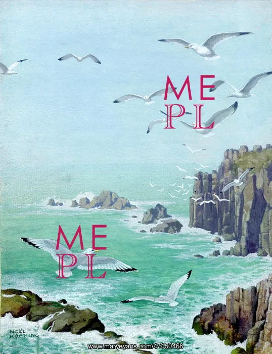  : Herring Gulls over rocky coast
