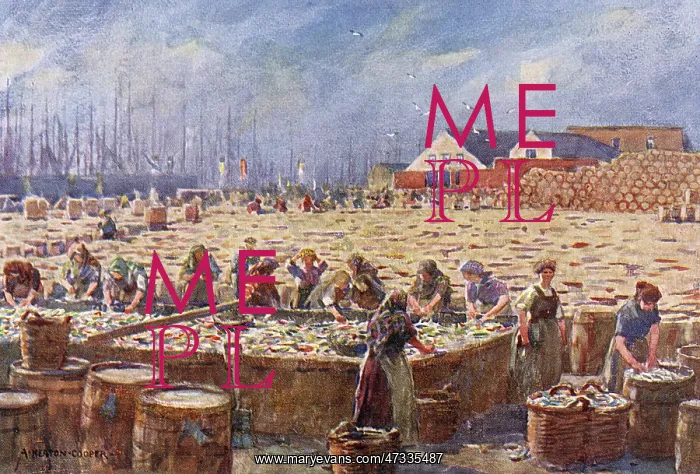 : HERRING HARVEST, YARMOUTH : HERRING HARVEST, YARMOUTH