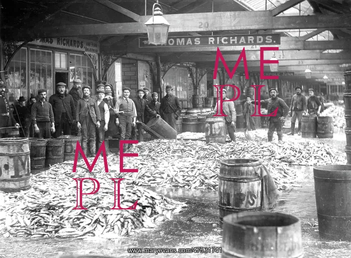  : Herring market in Lowestoft, 1898