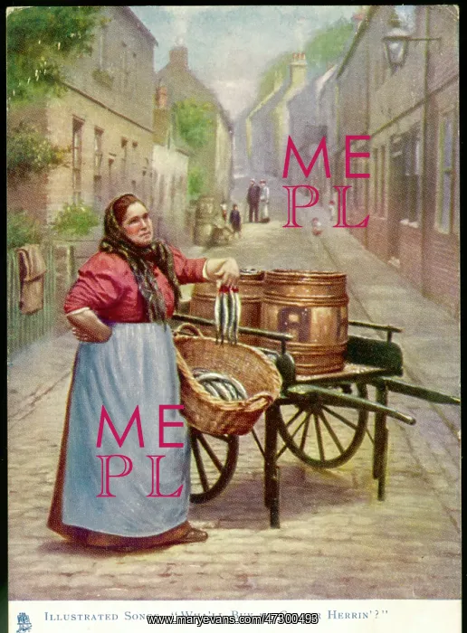  : HERRING SELLER / 1904